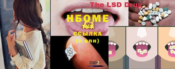 индика Алзамай