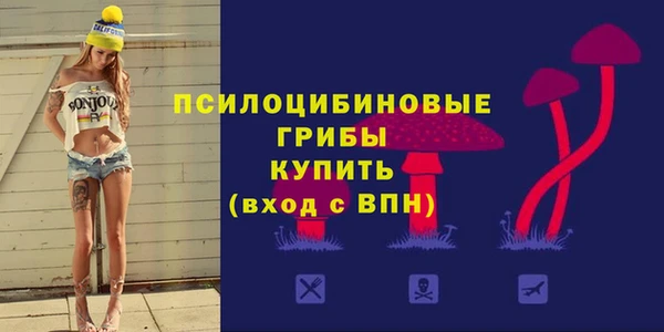 герыч Алексин