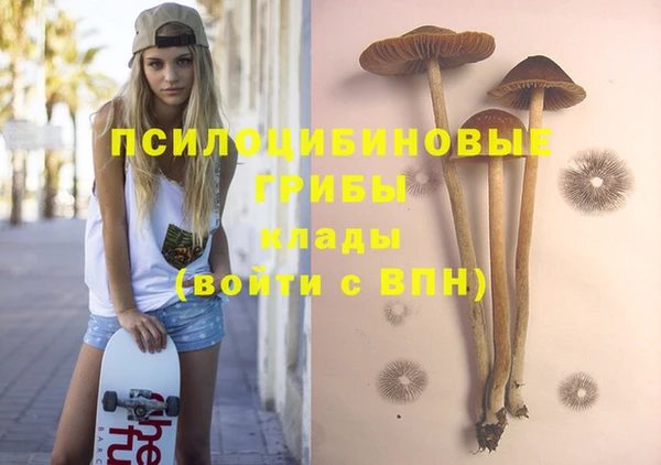 индика Алзамай