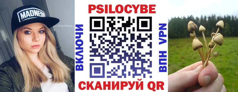 Галлюциногенные грибы мицелий  купить наркотики сайты  Бахчисарай 